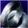 Galvanized Iron Wire (8# to 38#)